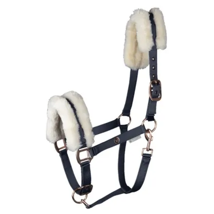 Modern Rose Halter - Nightblue  Cob