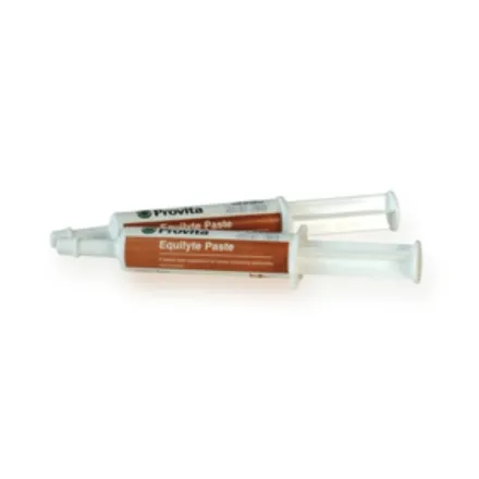 Provita Equilyte Paste 30g Syringe