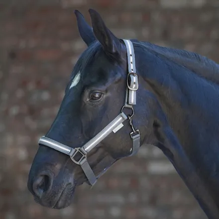 REFLEX Stripe Halter - Full