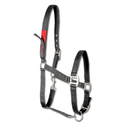 Safety Halter - Cob