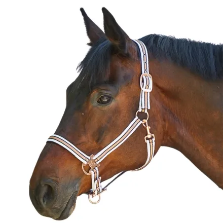Shine Halter - White/Rose Pony