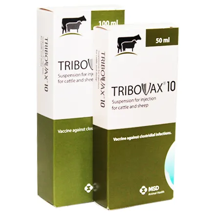 Tribovax 10 50ml