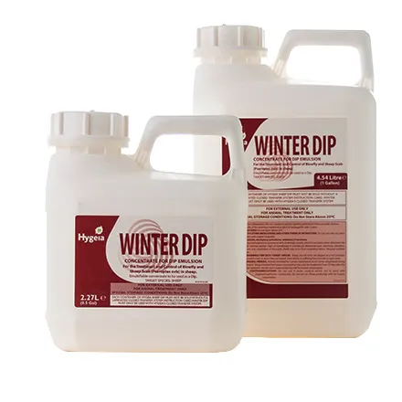 Winter Dip 1/2 gallon