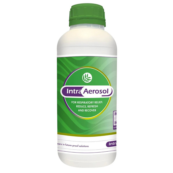 Intra Aerosol 1ltr