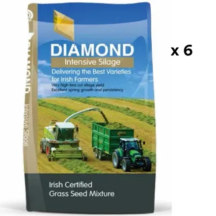 Gold Diamond Intensive Silage 12 kg X 6