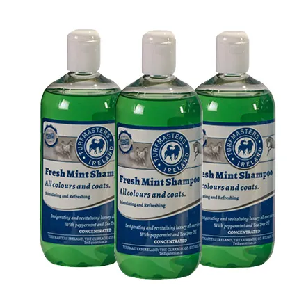 TM Fresh Mint Shampoo 500ML