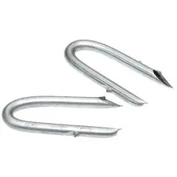 ¾" Galvanised Netting Staples 0.5kg