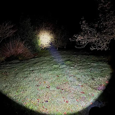 Clulite LED510C Torch 