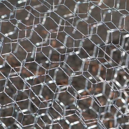 36"x 2" Galvanised Wire Netting 50yd
