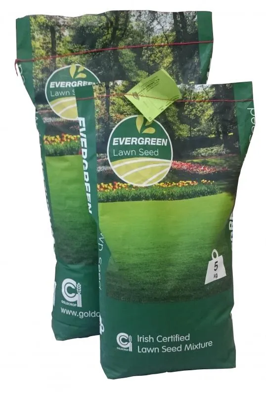 Evergreen No 2 Lawn Seed 5 KG