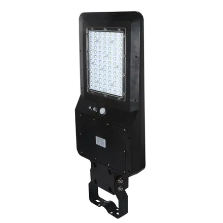 JFC Saber Solar Floodlight