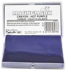 Matingmark Ram Crayon Purple