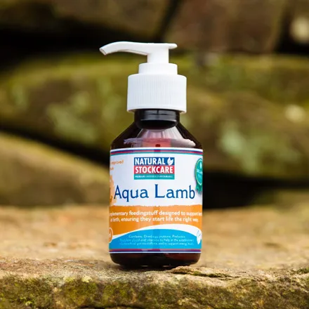 Aqua Lamb 250ml 100ml