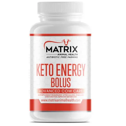 Matrix Keto Energy Bolus 6 cow pack