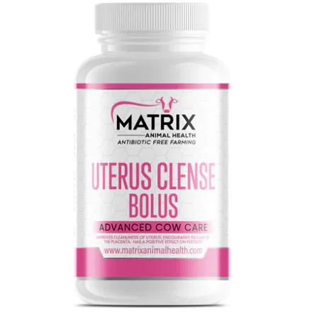 Matrix Uterus Cleanse Bolus 6 Cow Pack