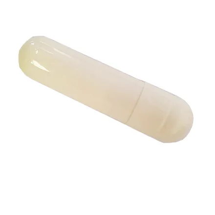 Maycillin Bolus 