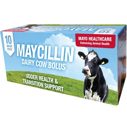 Maycillin Bolus 