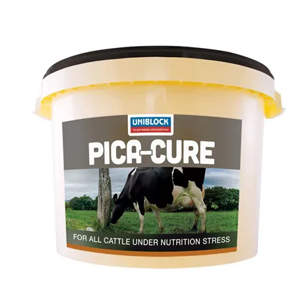 Pica-Cure Bucket