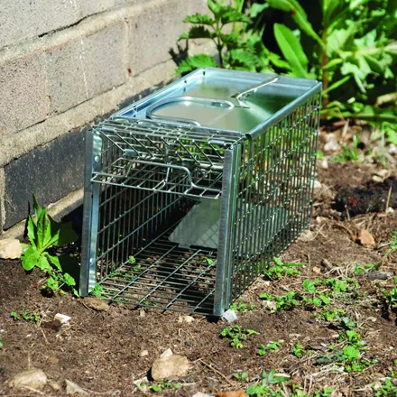 Big Cheese Live Catch Rat Cage 