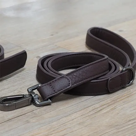 Luxe Leather Jet WalkAbout Dog Lead (120 x 2cm)
