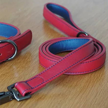 Luxe Leather Ruby WalkAbout Dog Lead (120 x 2cm)