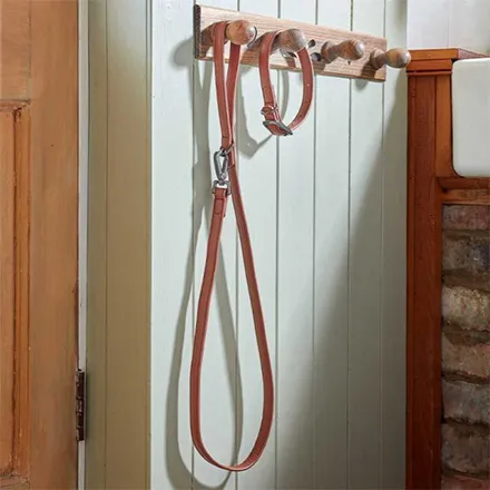 Luxe Leather Tan WalkAbout Dog Lead (120 x 2cm)