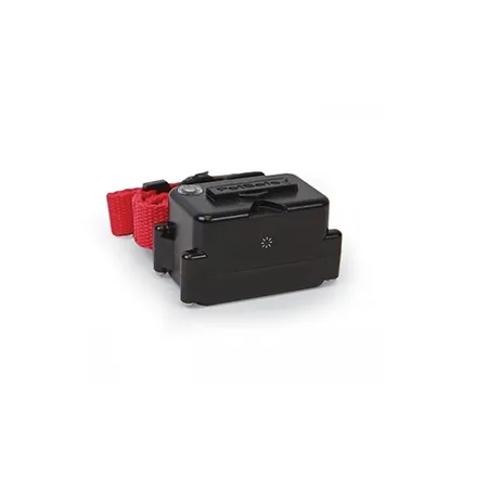 PetSafe Super Receiver Collar