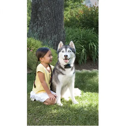 PetSafe Super Receiver Collar