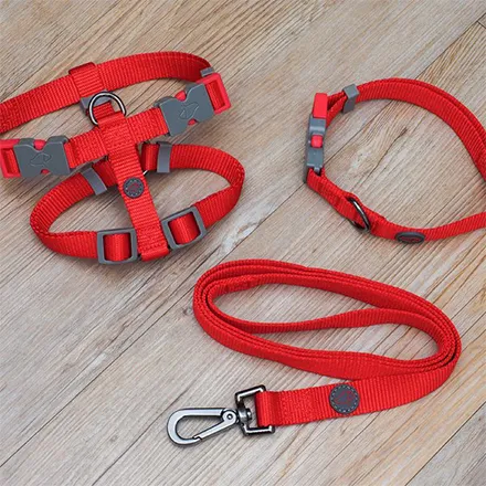 WalkAbout Dog Lead Standard 120 x 2cm Red