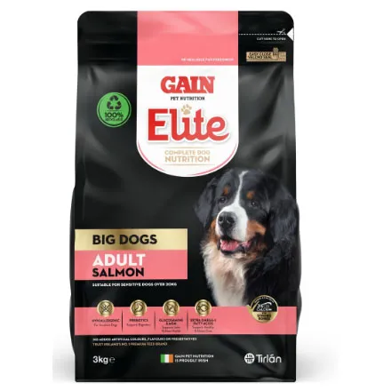 GAIN Elite Big Dogs Adult Salmon 3KG