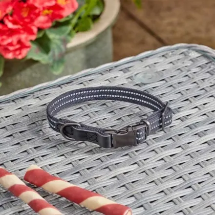 Primo Jet Walkabout Reflective Dog Collar S (23CM-36CM)