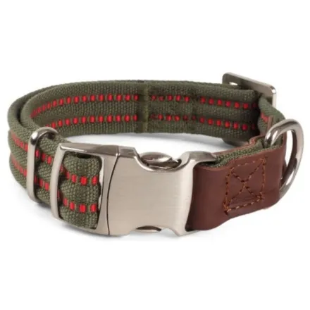 Primo Olive Walkabout Dog Collar S (23cm-36cm)