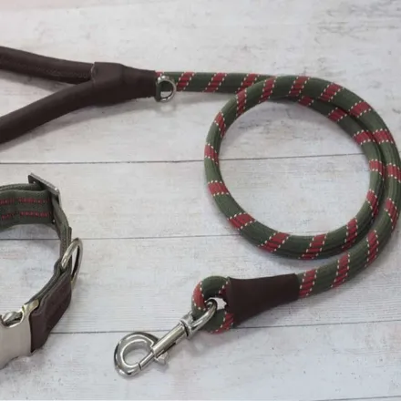 Primo Olive Walkabout Dog Lead (120 x 2cm)
