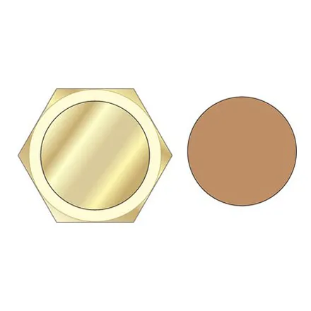 EP 1/2" Brass Compression Blanking Cap