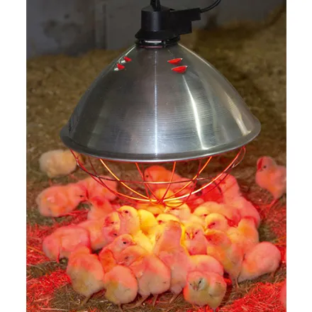 Infrared Brooding Reflector Lamp