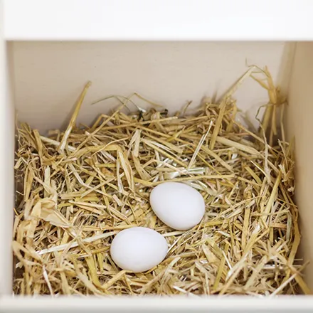 Poultry Artificial Eggs 2 Pack