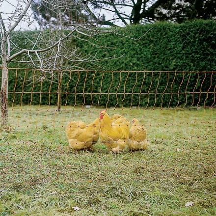 Poultry Netting Spare Post Double Prong