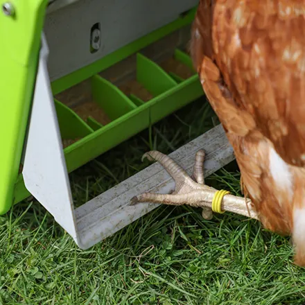 SmartCoop Poultry Feeder 7.5 kg