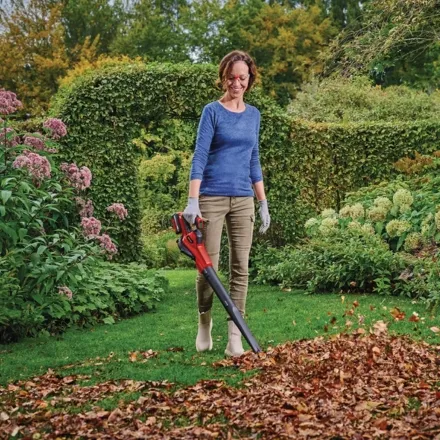 Einhell Power X-Change 18V Cordless Leaf Blower