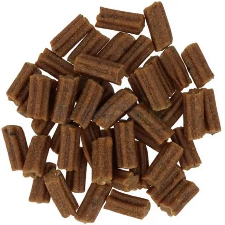 Gosbits Dog Objective Dental Mini 150g