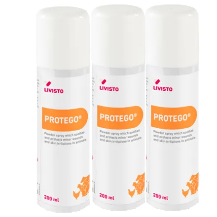 Protego Puderspray 200ml