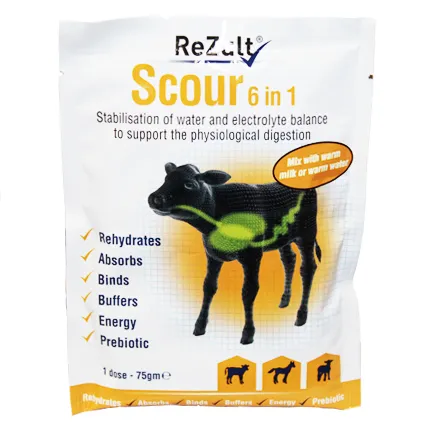 Rezult 6 in 1 Powder sachet 
